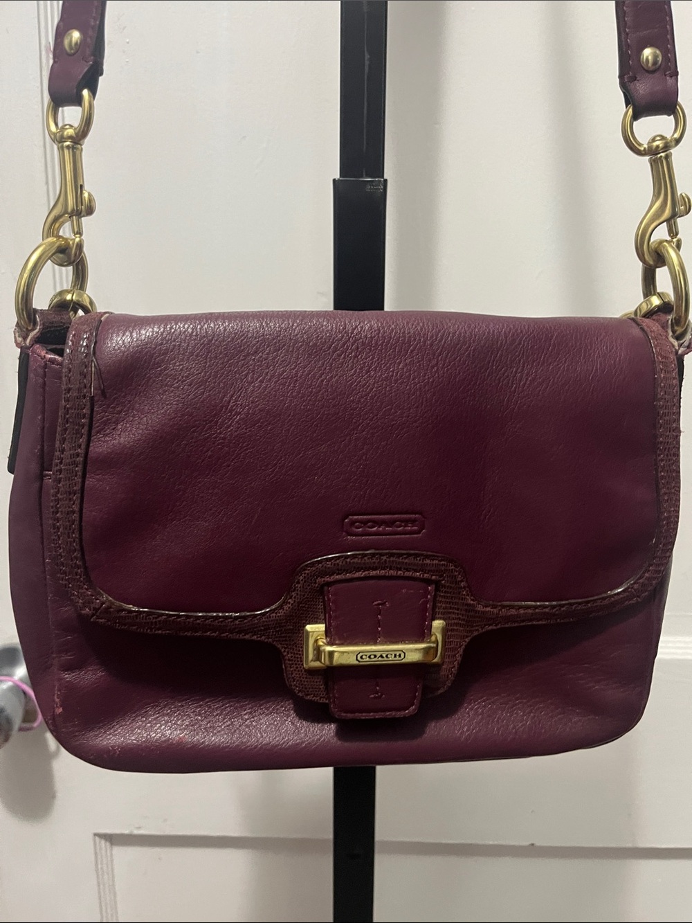 Coach Leather Crossbody Bag - Plum
